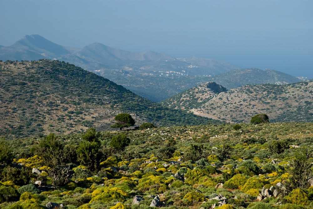 292_Kreta_w drodze na Plaskowyz Katharo.jpg